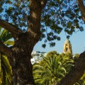 mission through the&nbsp;palms