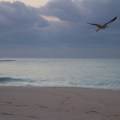 coasting
