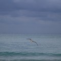 race past the&nbsp;storm