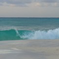 water study, five