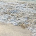 water study, four