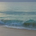 water study, one