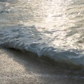 water study, six