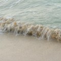 water study, three